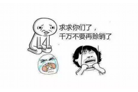 金溪专业讨债公司有哪些核心服务？